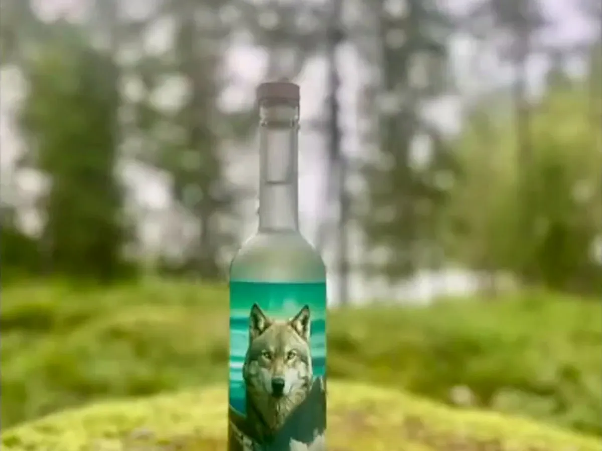 A bottle standing on moss in Swedish forest